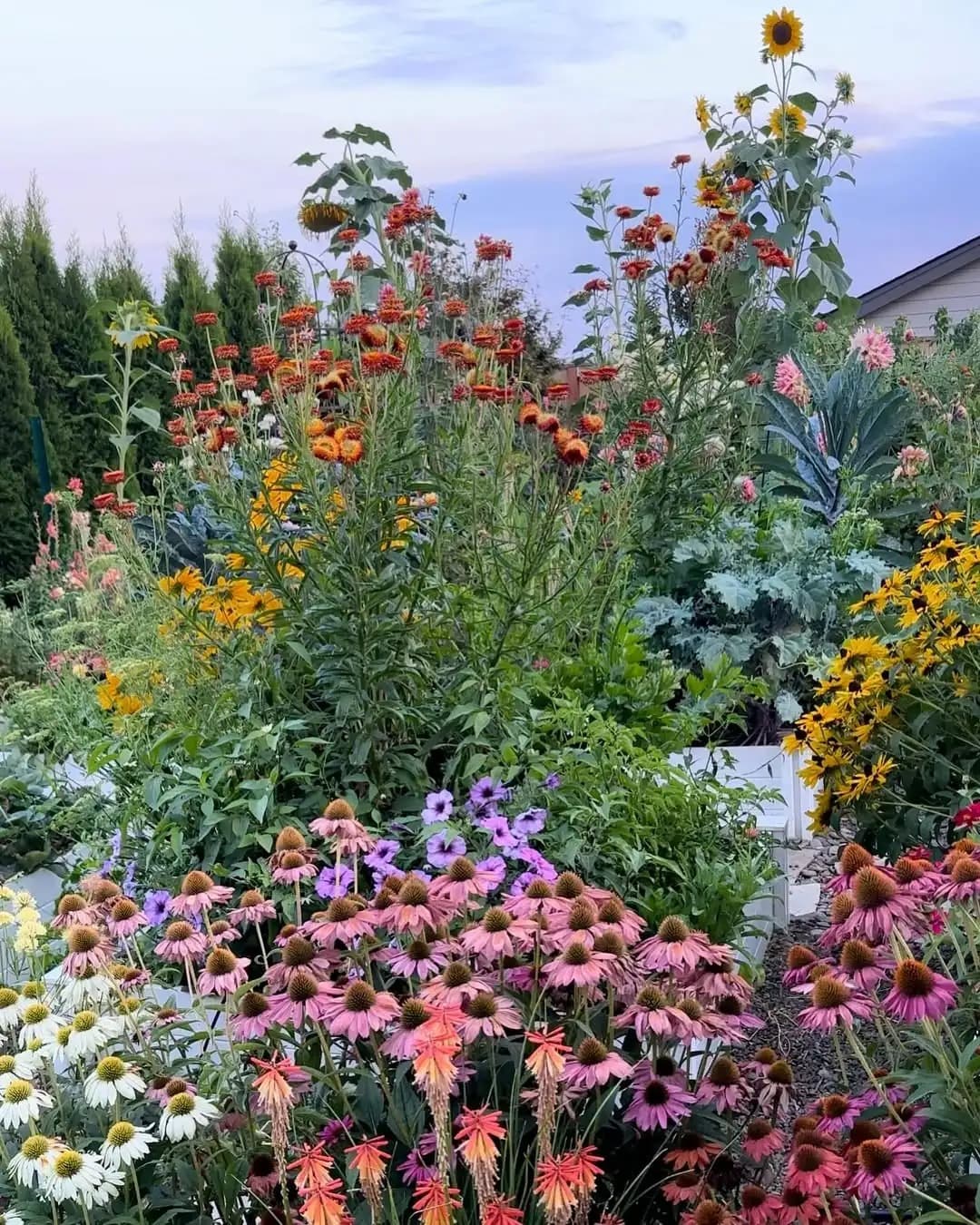 Nectaris – Od nasiona do pełnego rozkwitu.