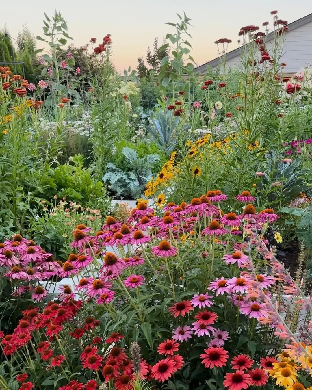 Nectaris – Od nasiona do pełnego rozkwitu.